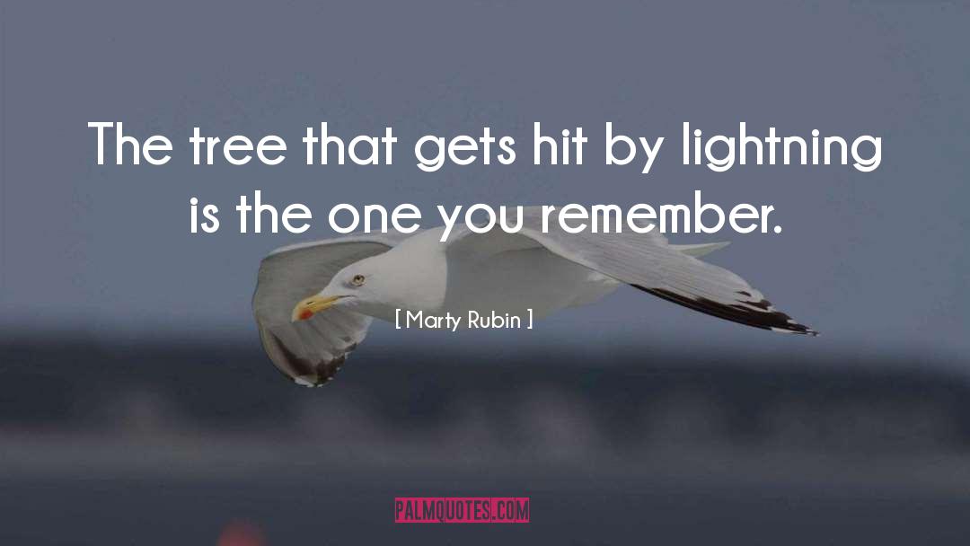Hit quotes by Marty Rubin