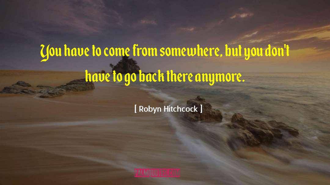 Hitchcock Filmmaking quotes by Robyn Hitchcock