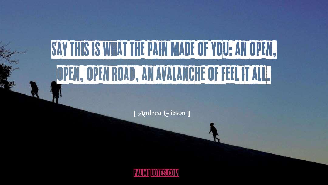 Hitchings Road quotes by Andrea Gibson