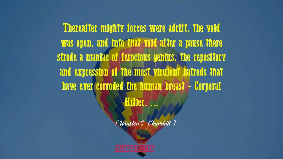Hitler S Failed March quotes by Winston S. Churchill