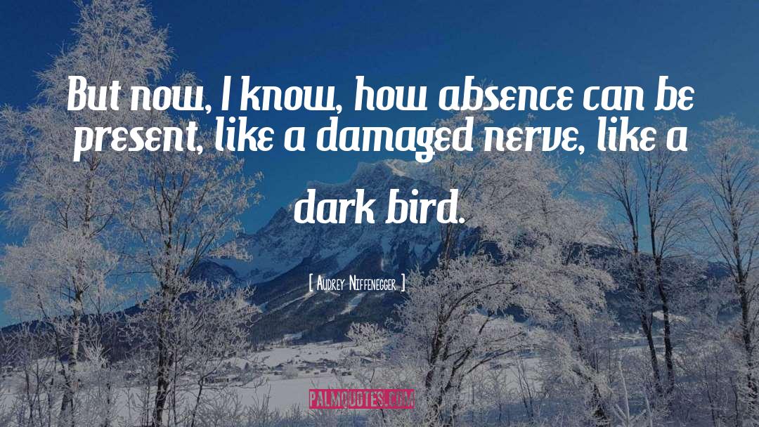 Hitting A Nerve quotes by Audrey Niffenegger