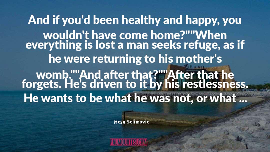 Hitting Home Runs quotes by Mesa Selimovic