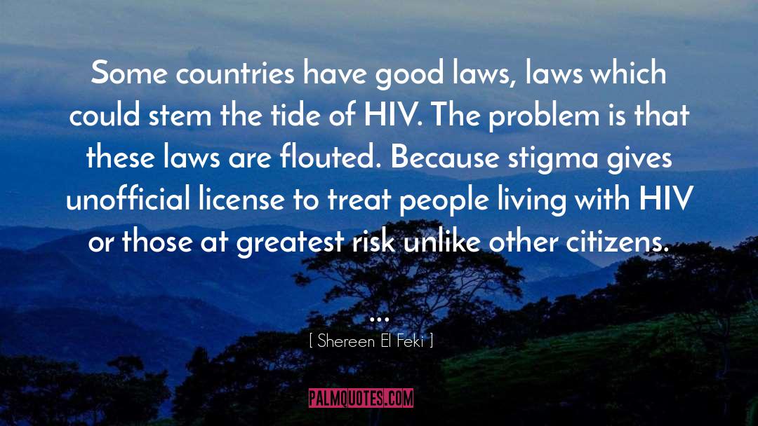 Hiv quotes by Shereen El Feki