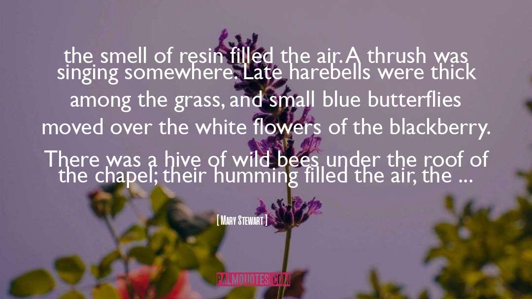 Hive quotes by Mary Stewart