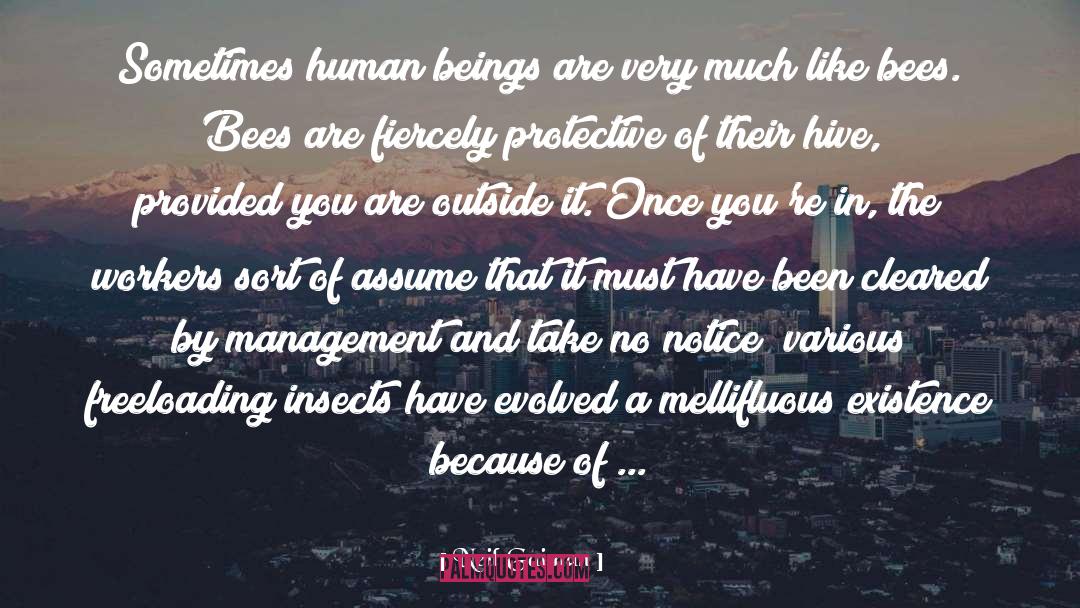 Hive quotes by Neil Gaiman
