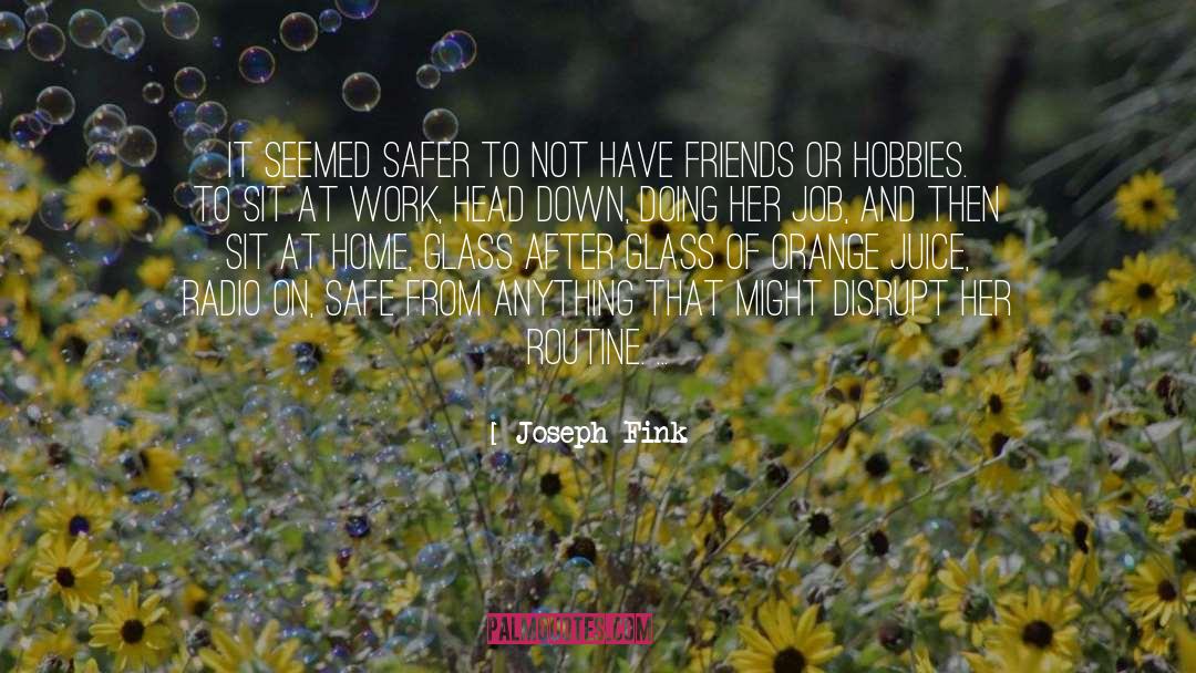 Hobbies quotes by Joseph Fink