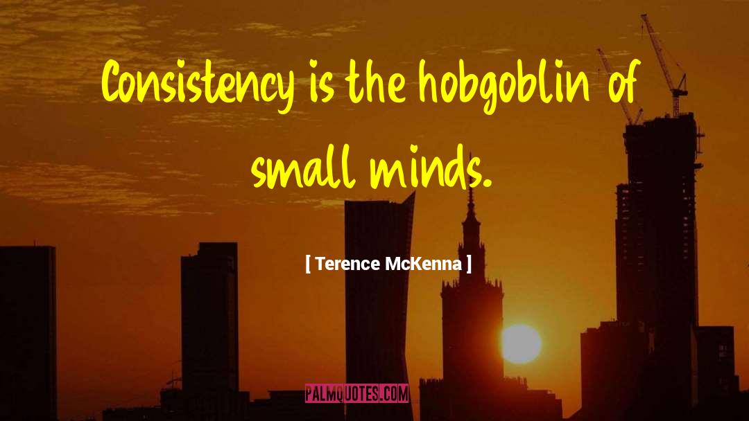 Hobgoblin quotes by Terence McKenna