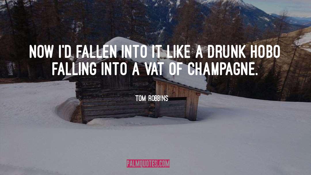 Hobo quotes by Tom Robbins