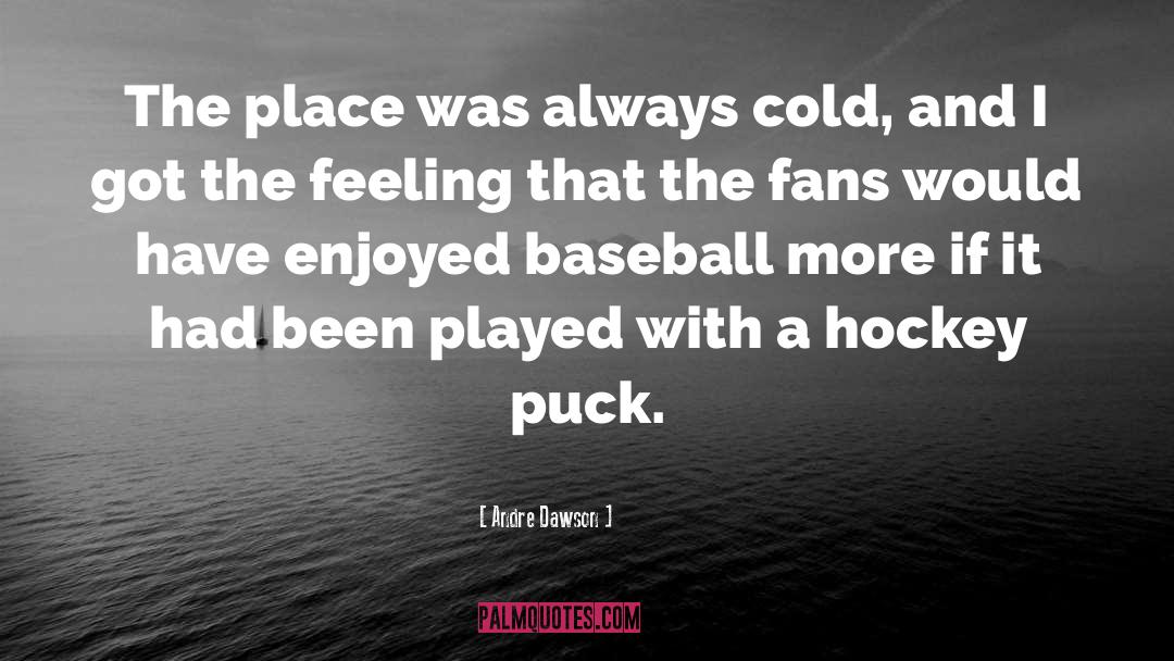 Hockey Team quotes by Andre Dawson