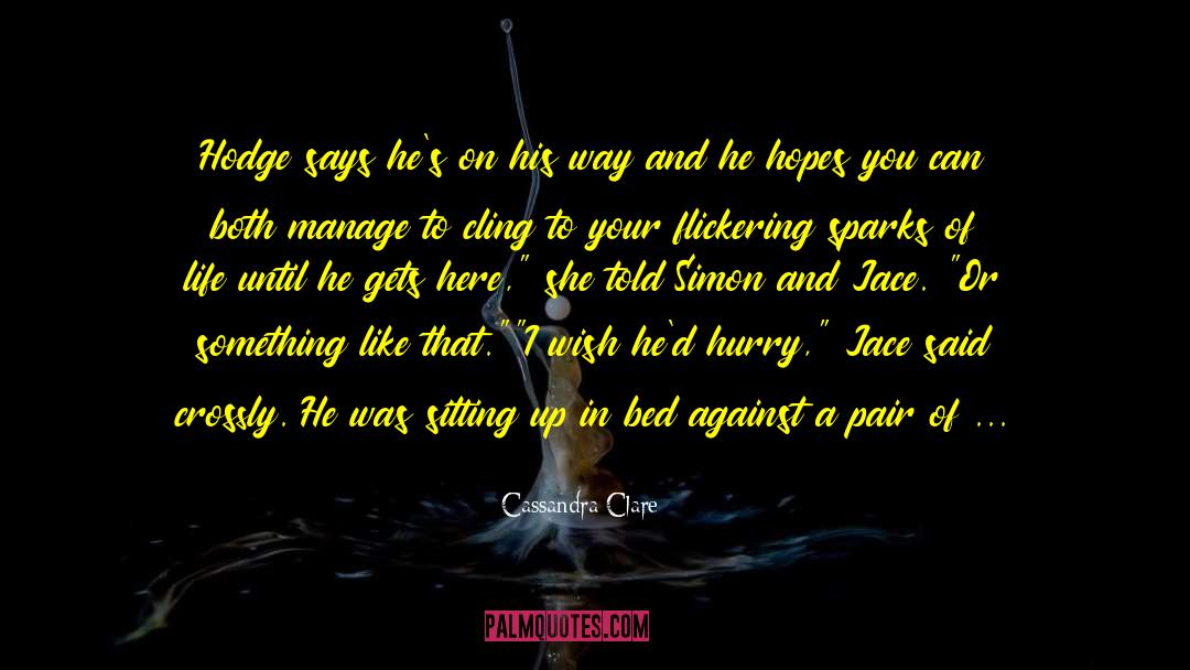 Hodge quotes by Cassandra Clare