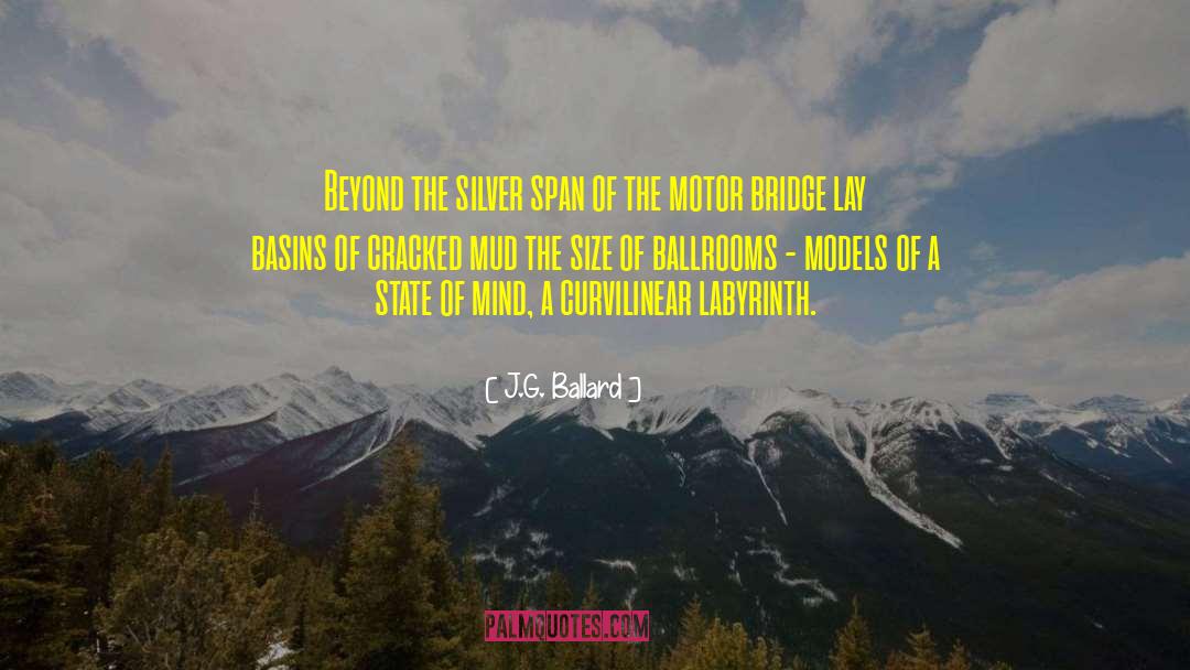 Hoffinger Silver quotes by J.G. Ballard