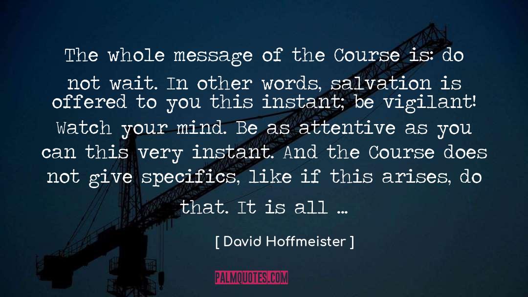 Hoffmeister quotes by David Hoffmeister