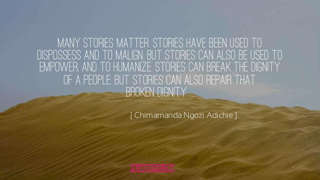 Hofler Repair quotes by Chimamanda Ngozi Adichie