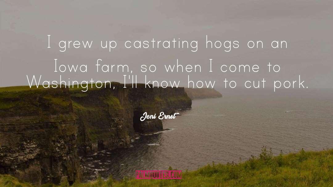 Hog quotes by Joni Ernst