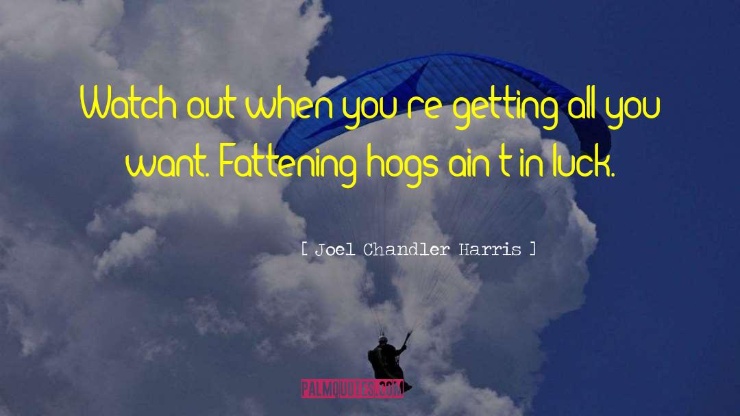 Hogs quotes by Joel Chandler Harris