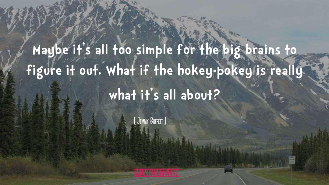 Hokey Pokey quotes by Jimmy Buffett