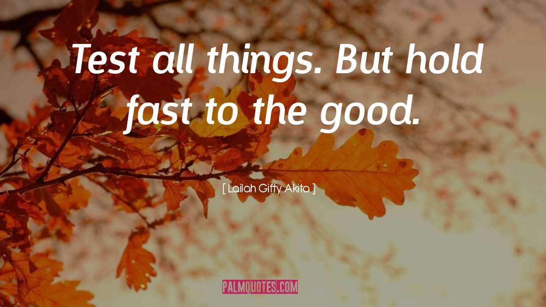 Hold Fast quotes by Lailah Gifty Akita
