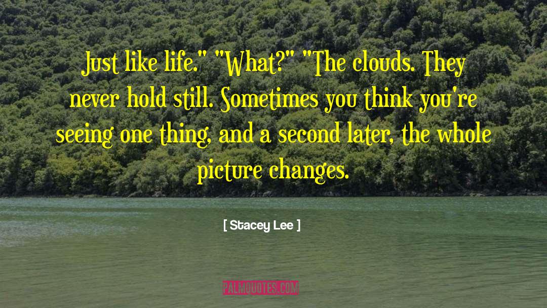 Hold Still quotes by Stacey Lee