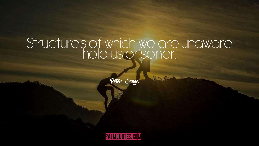 Hold Us Close quotes by Peter Senge