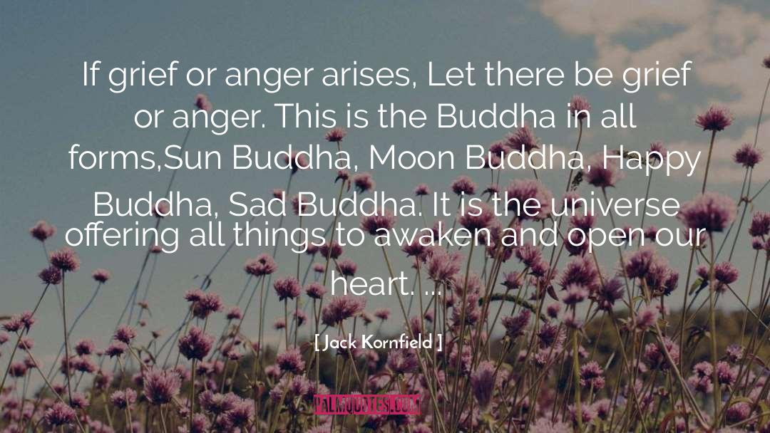 Holding On To Anger Buddha quotes by Jack Kornfield