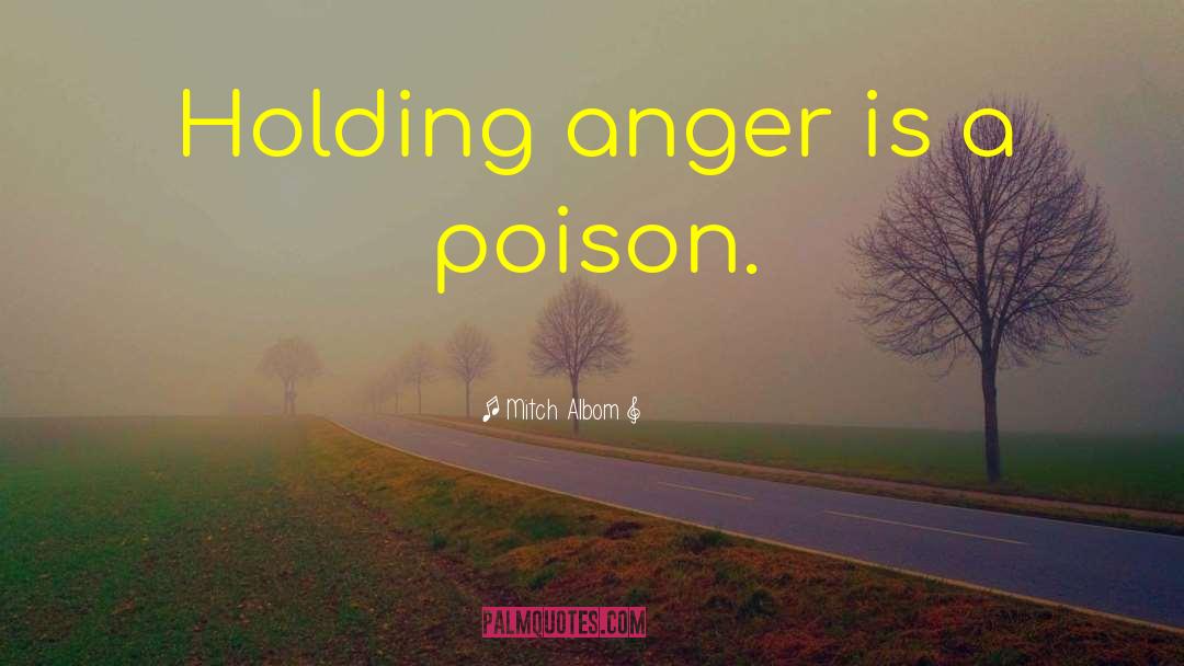 Holding On To Anger Buddha quotes by Mitch Albom