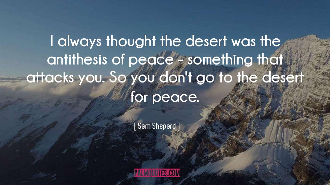 Holding Thought quotes by Sam Shepard