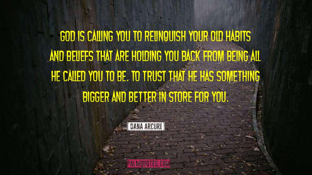 Holding You Back quotes by Dana Arcuri