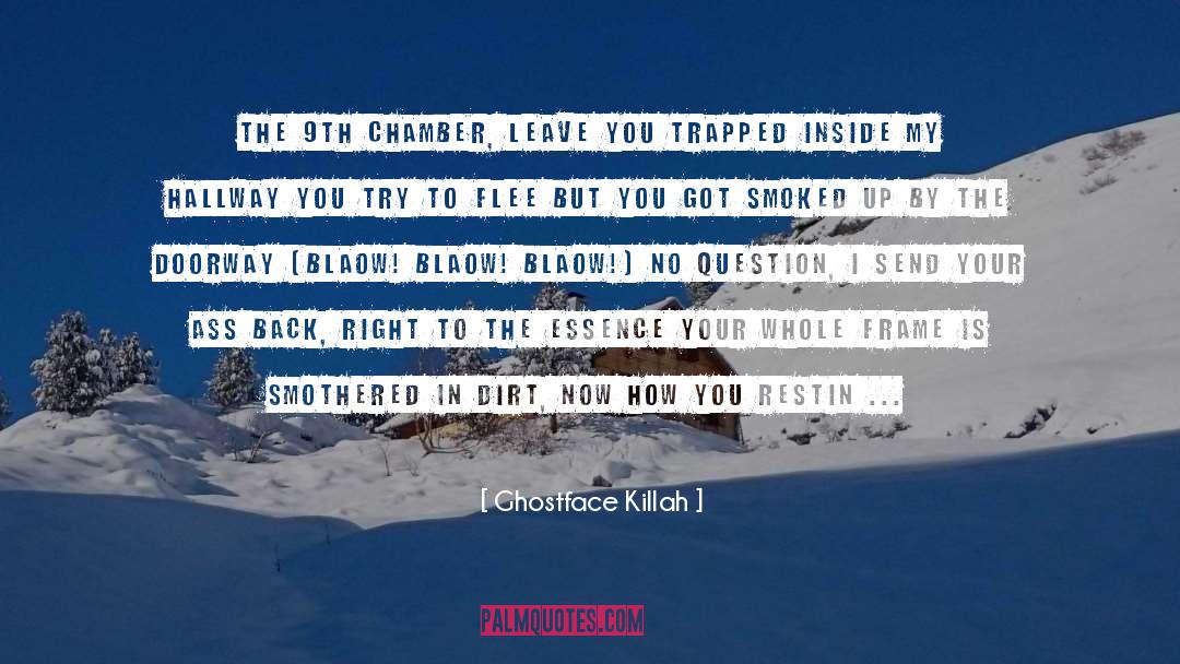 Holding You Back quotes by Ghostface Killah