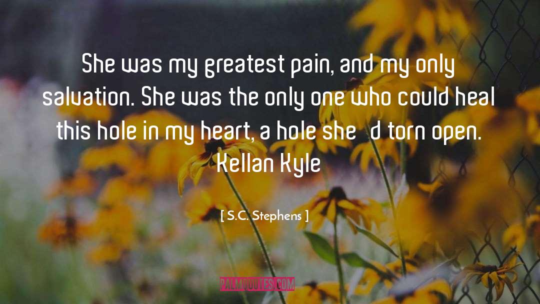 Hole In My Heart quotes by S.C. Stephens