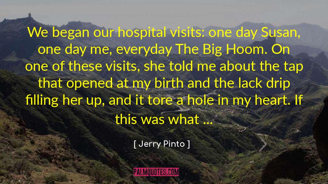 Hole In The Heart quotes by Jerry Pinto