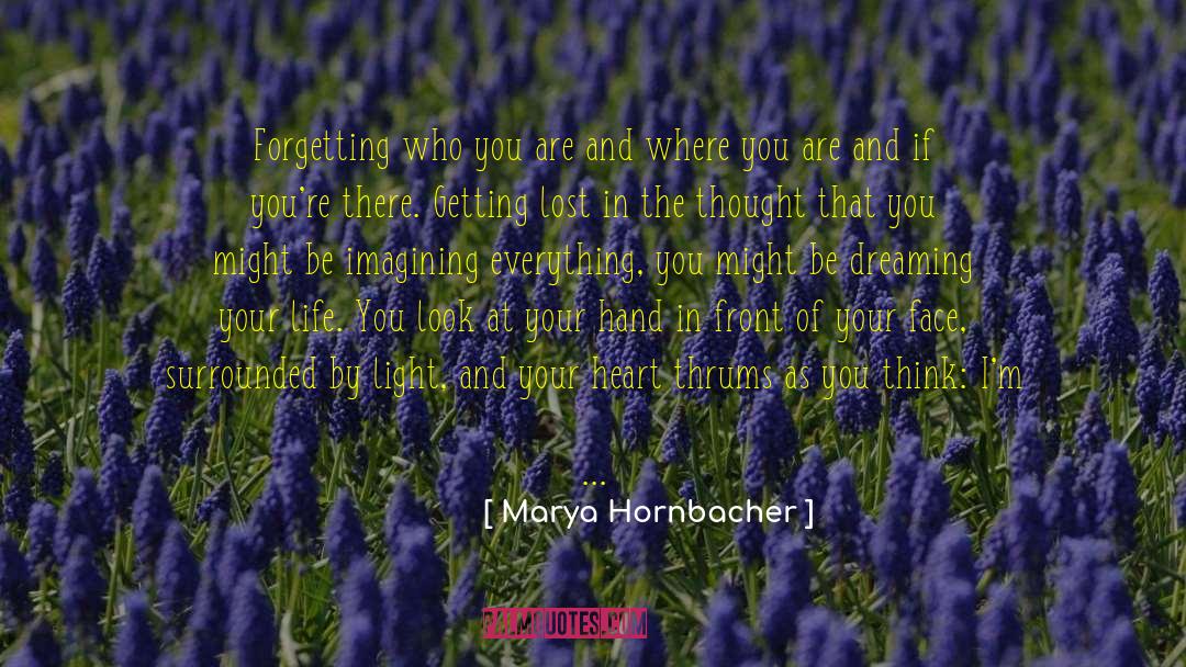 Hole In Your Heart quotes by Marya Hornbacher