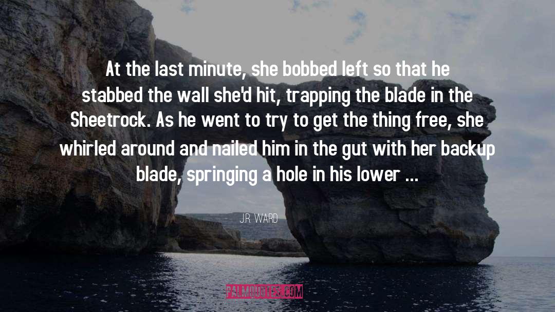 Hole quotes by J.R. Ward