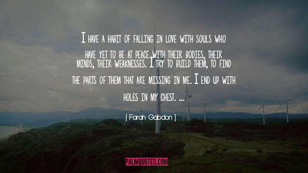 Holes quotes by Farah Gabdon