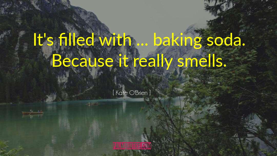 Holiday Baking quotes by Kate O'Brien