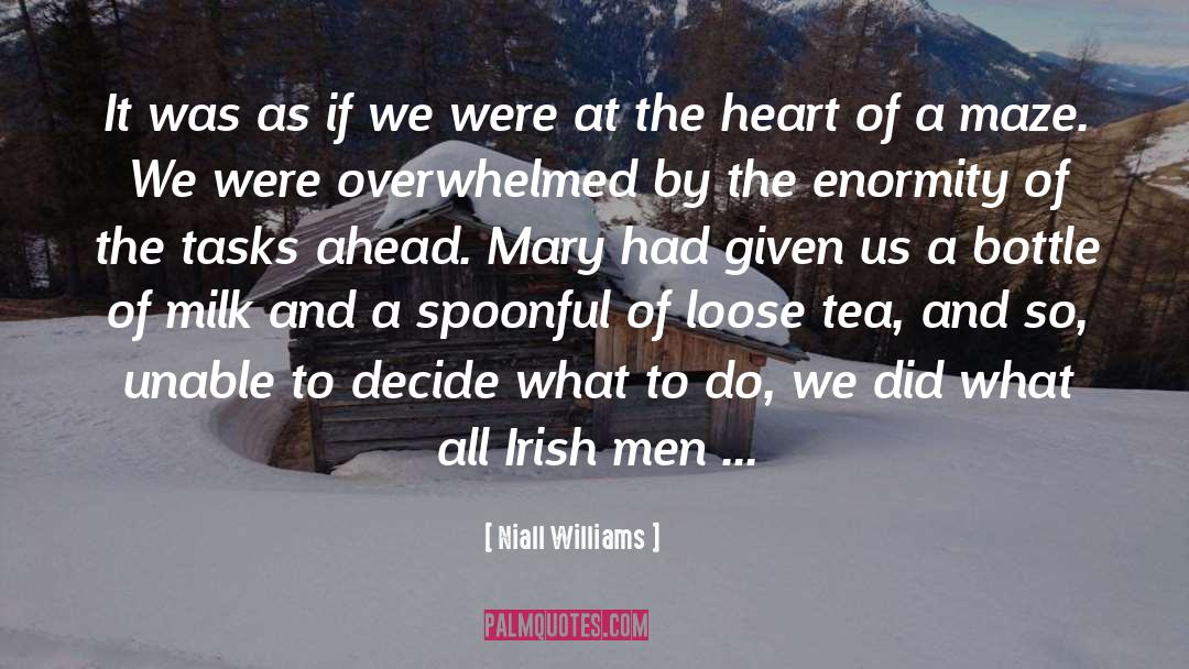 Holiday Heart Wanda quotes by Niall Williams