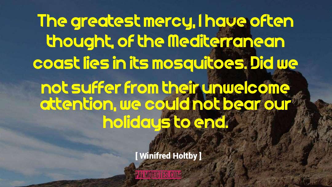 Holidays quotes by Winifred Holtby