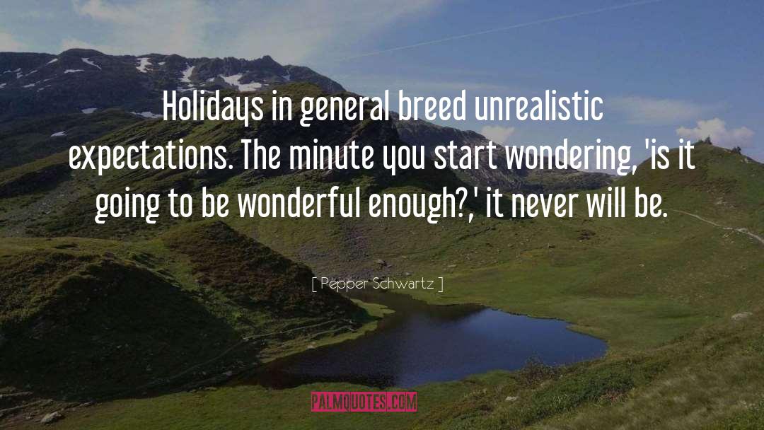 Holidays quotes by Pepper Schwartz