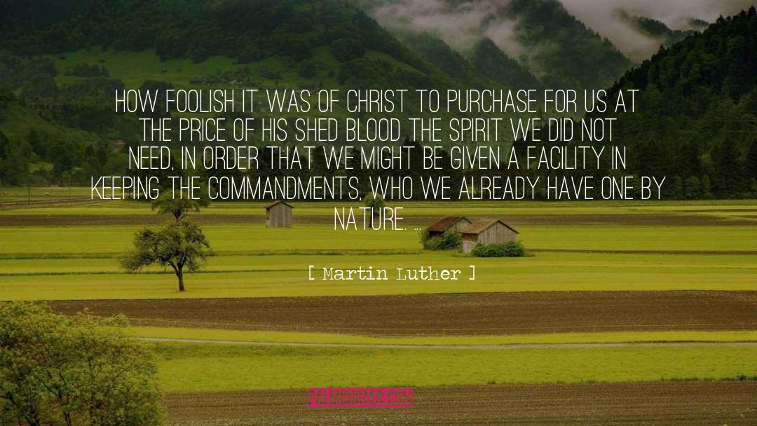 Holilday Spirit quotes by Martin Luther