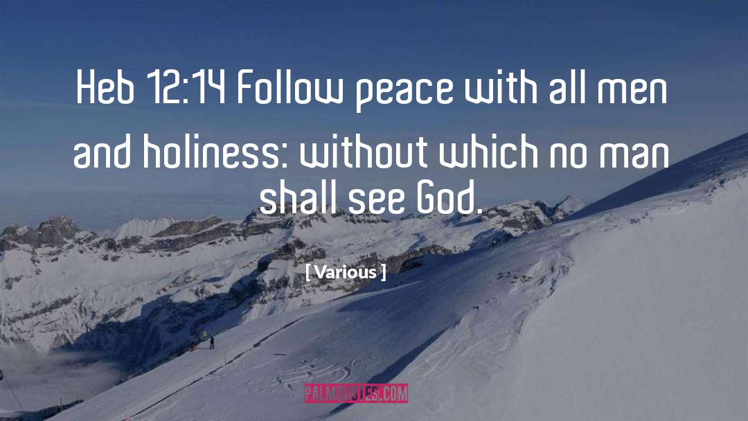 Holiness quotes by Various