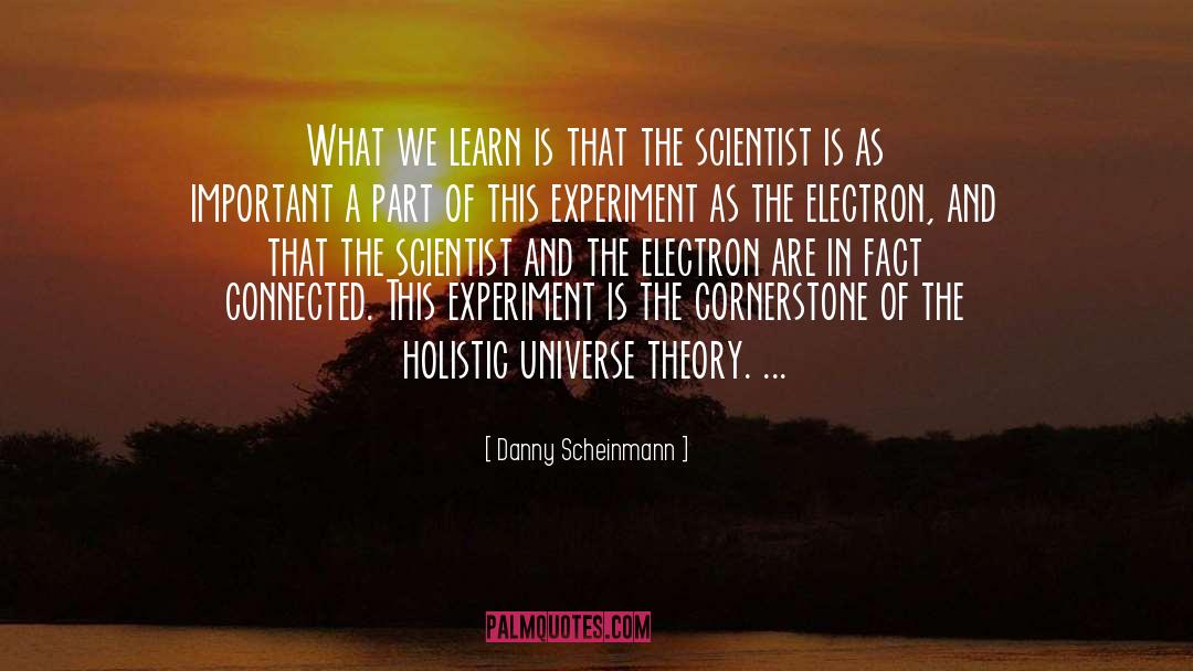 Holistic quotes by Danny Scheinmann