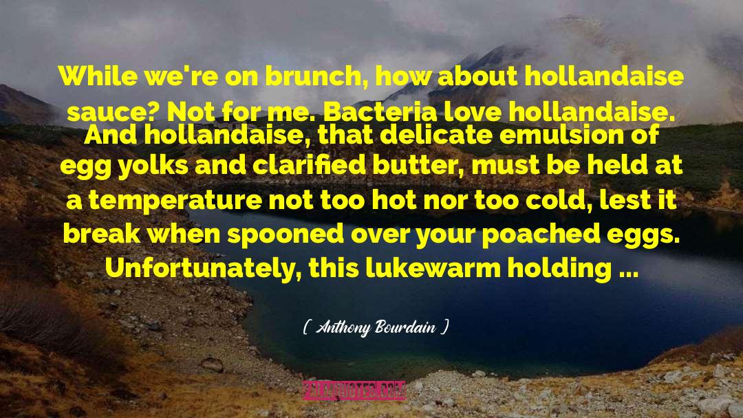 Hollandaise quotes by Anthony Bourdain