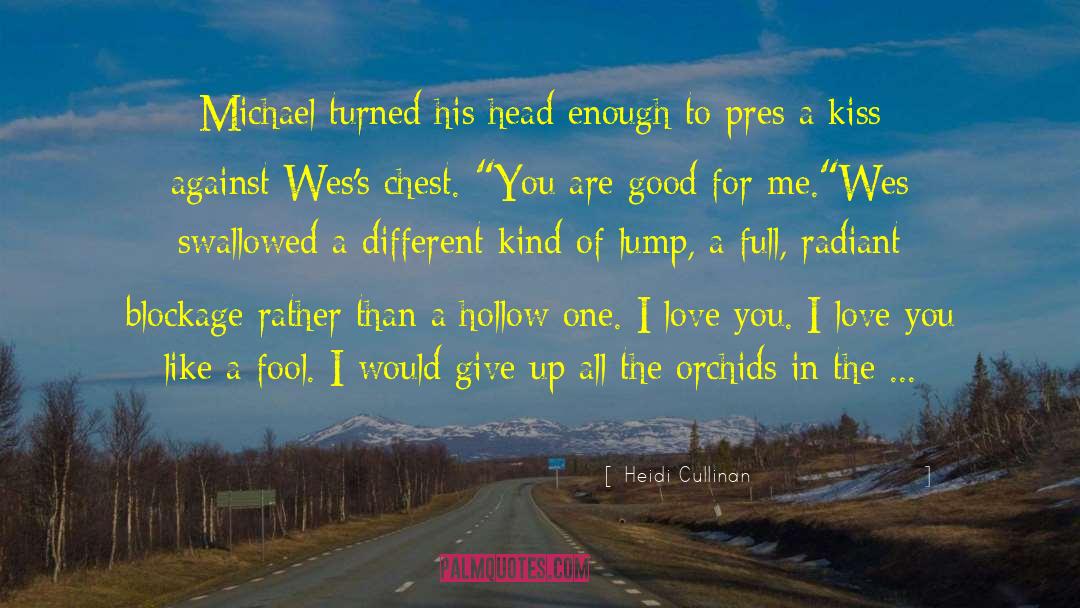 Hollow Candle quotes by Heidi Cullinan