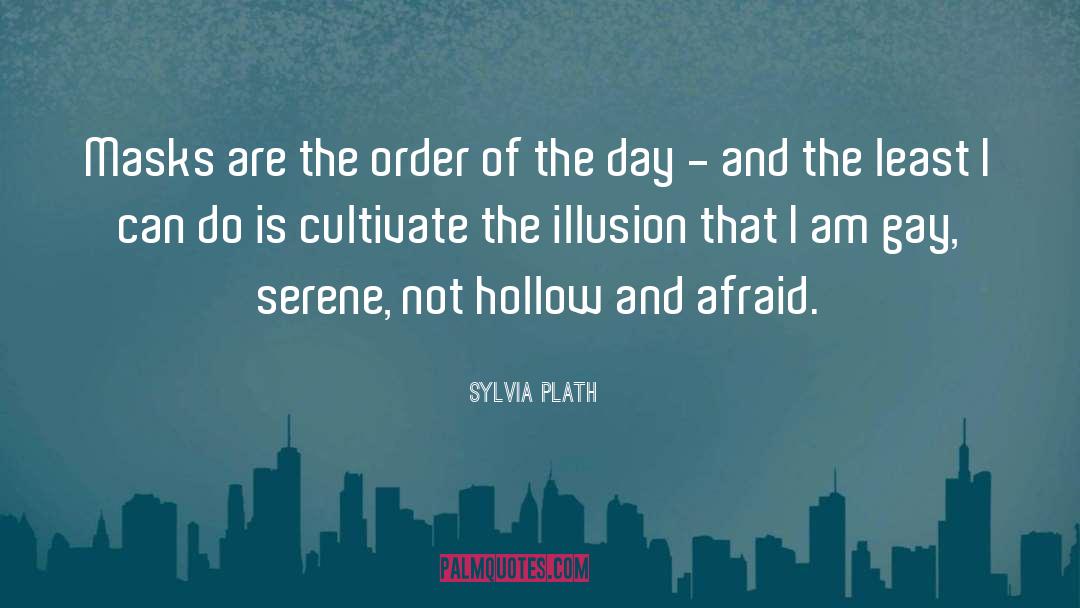 Hollow Pursuits quotes by Sylvia Plath