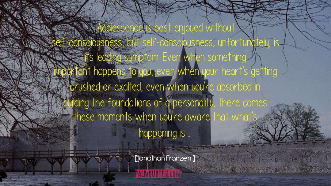 Hollowness quotes by Jonathan Franzen