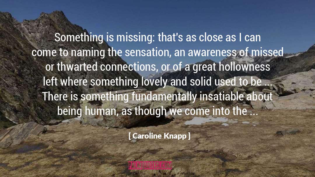 Hollowness quotes by Caroline Knapp