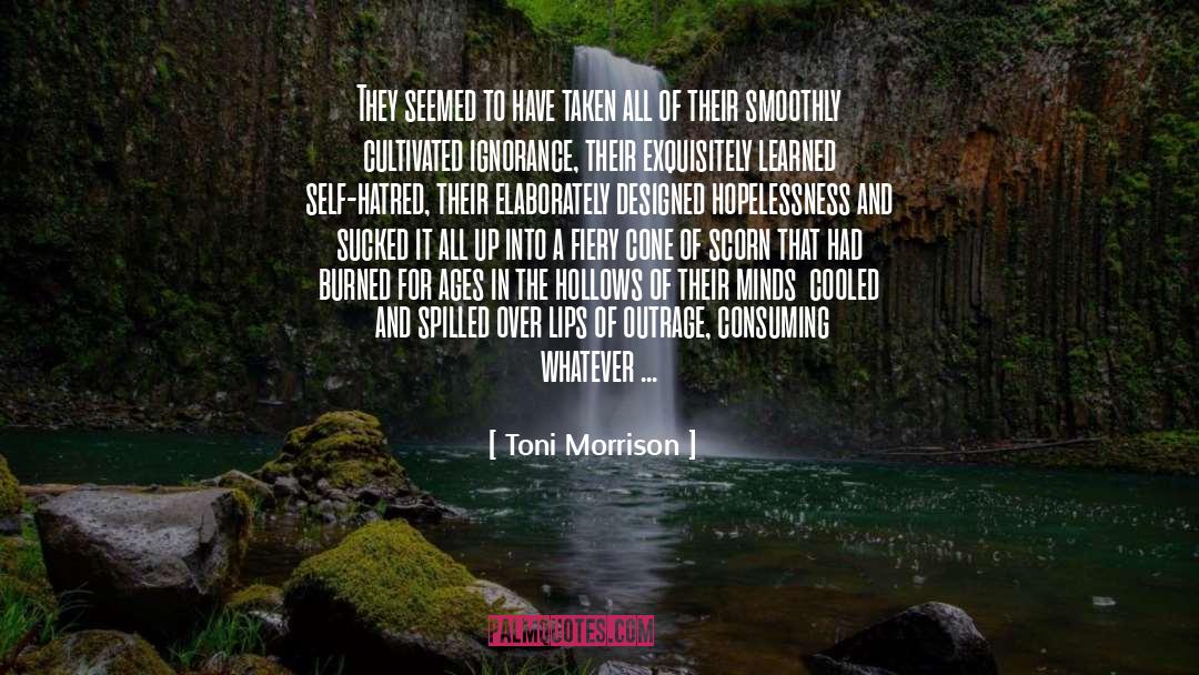 Hollows quotes by Toni Morrison