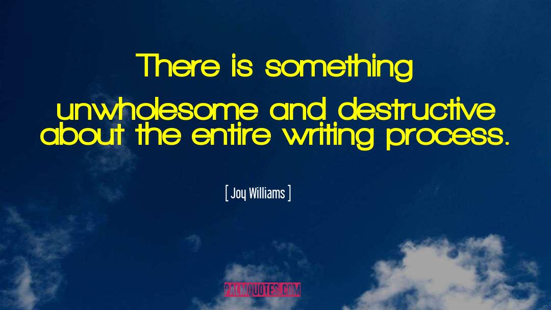 Hollybeth Williams quotes by Joy Williams