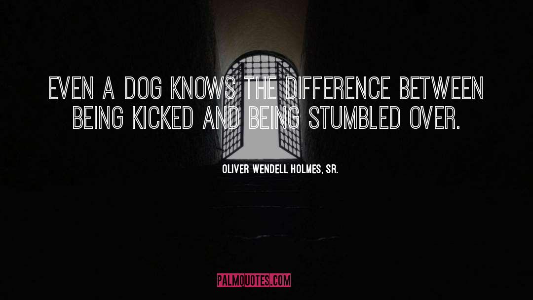 Holmes quotes by Oliver Wendell Holmes, Sr.