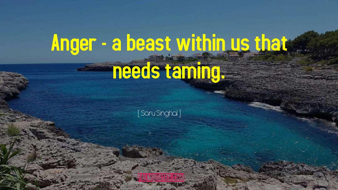 Holy Anger quotes by Saru Singhal