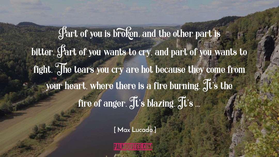 Holy Anger quotes by Max Lucado